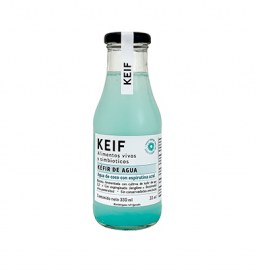 KEFIR DE AGUA DE COCO Y ESPIRULINA8